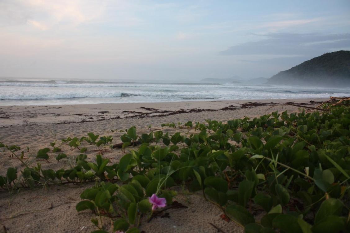 Maloquinha Itamambuca. A Mais Charmosa De Ubatuba. Zewnętrze zdjęcie